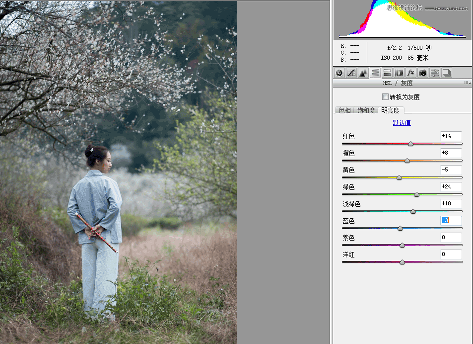 Photoshop调出外景梅花人像中国风冷色效果