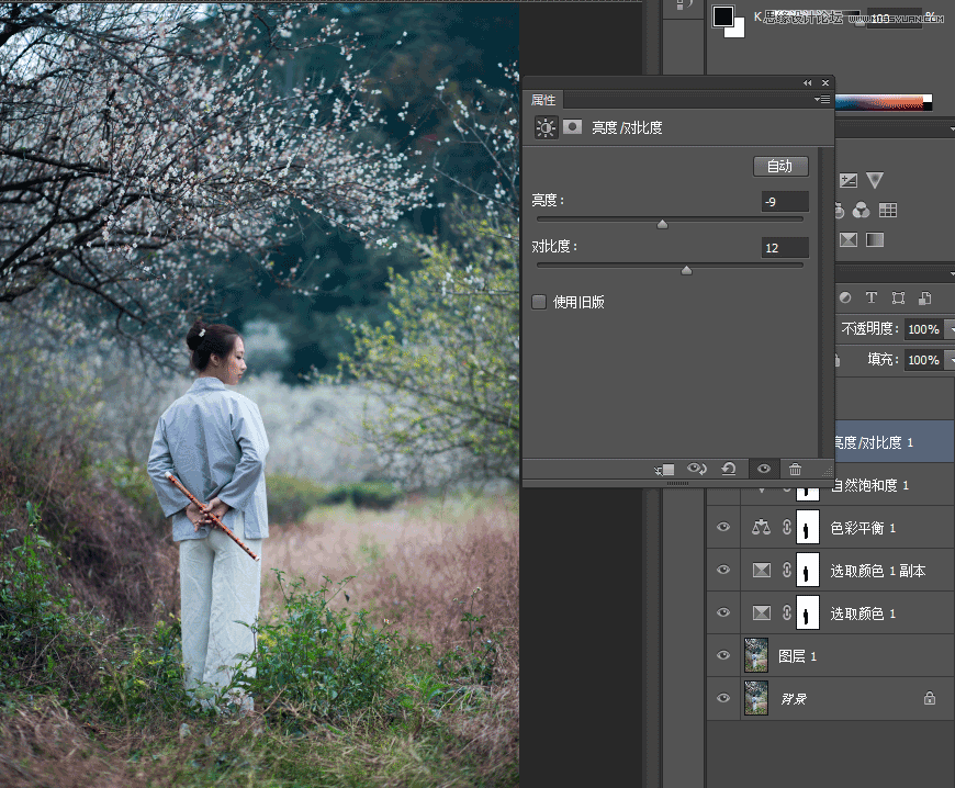 Photoshop调出外景梅花人像中国风冷色效果