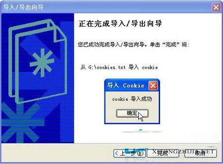  WinXP如何导入Cookie信息