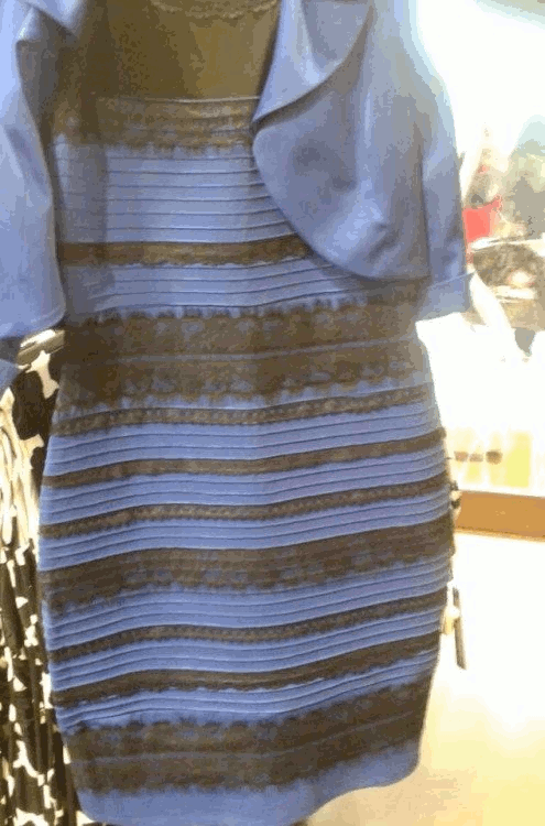 蓝黑白金裙子看到蓝金图片