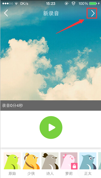 echo回声