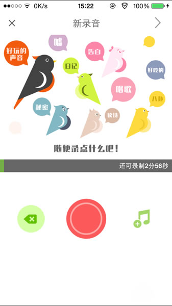 echo回声