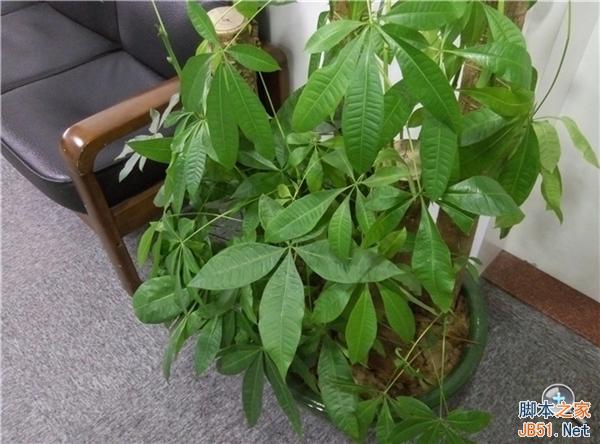 比Android版更流畅！YunOS版魅蓝手机试玩