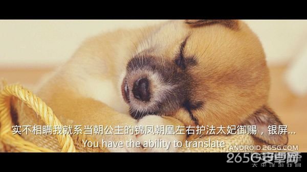 足记APP下载 足记应用带你飞像电影一样去生活