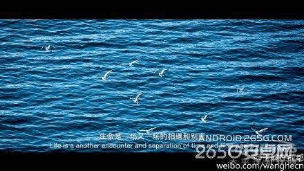 足记APP下载 足记应用带你飞像电影一样去生活