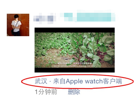 微信朋友圈来自applewatch怎么设置 苹果手表客户端教程