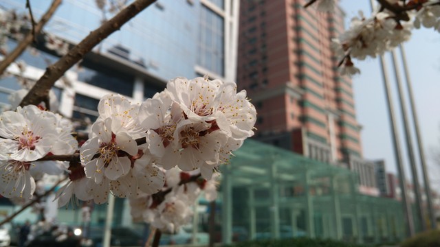 תֻӰ nubia Z9 miniƷײ 