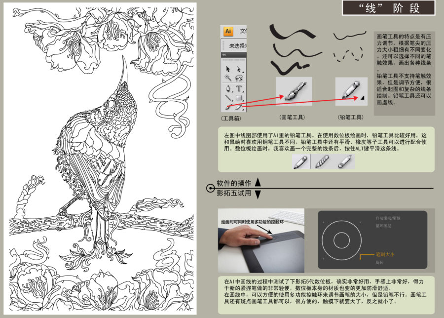 AI结合数位板绘制漂亮翠鸟插画过程  AI实例教程