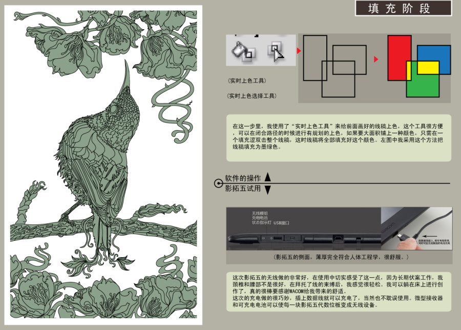 AI结合数位板绘制漂亮翠鸟插画过程  AI实例教程