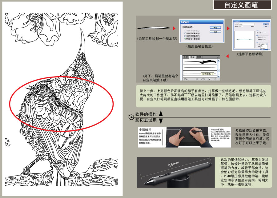 AI结合数位板绘制漂亮翠鸟插画过程  AI实例教程