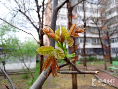 2000元档智能强机 金立S7对比小米Note 