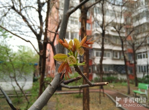 2000元档智能强机 金立S7对比小米Note 