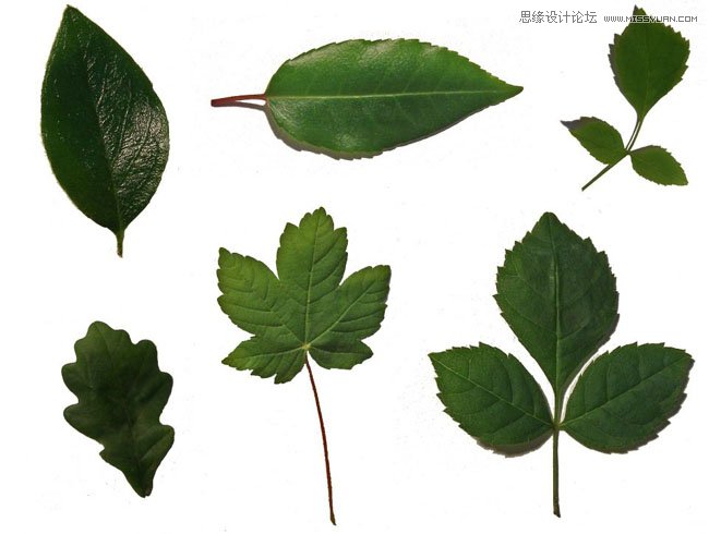 Photoshop制作花藤装饰的岩石字艺术字教程