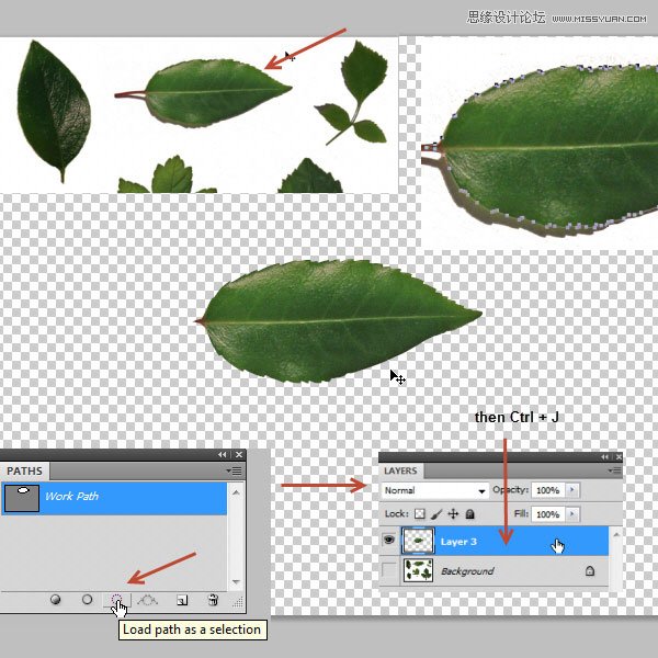 Photoshop制作花藤装饰的岩石字艺术字教程