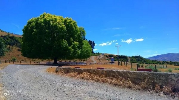 拍照很震撼 nubia Z9新机样片独家首发 