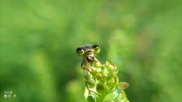 拍照很震撼 nubia Z9新机样片独家首发 