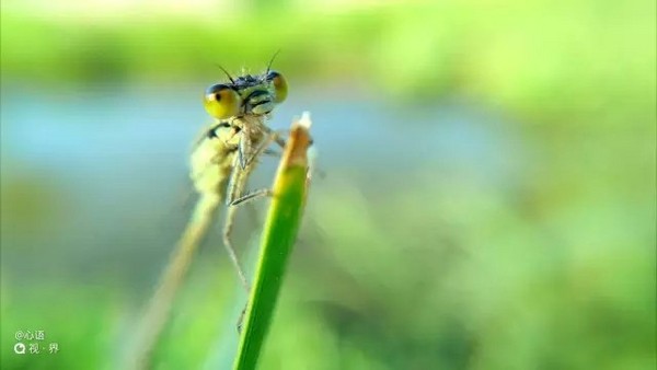 拍照很震撼 nubia Z9新机样片独家首发 