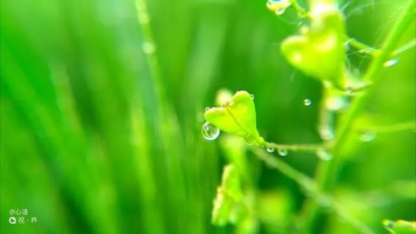 拍照很震撼 nubia Z9新机样片独家首发 