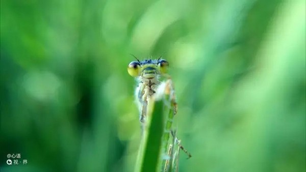 拍照很震撼 nubia Z9新机样片独家首发 