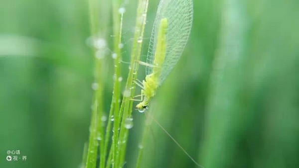 拍照很震撼 nubia Z9新机样片独家首发 