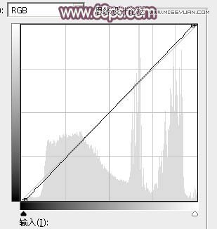 Photoshop调出外景人像逆光紫色效果,PS教程