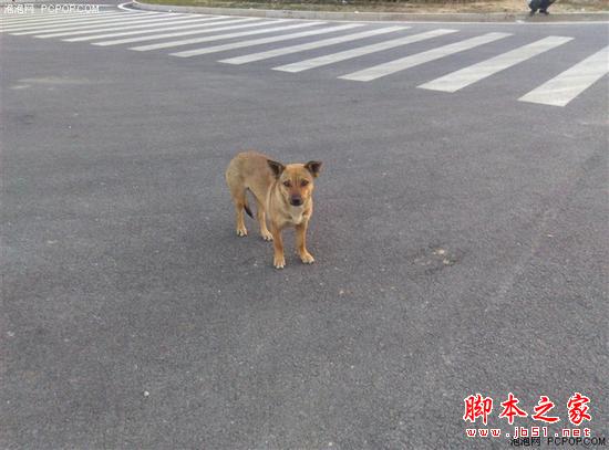 告别一天一充！千元TCL 续航+评测来啦 