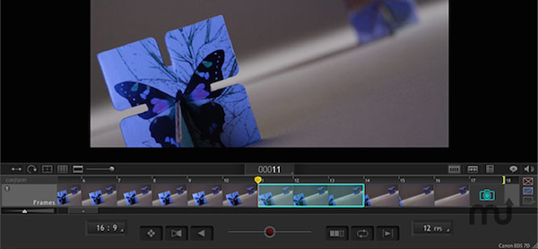 Dragonframe for mac V3.6.1 苹果电脑版