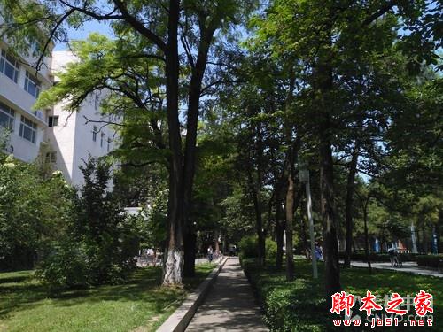 飞利浦杰智I999评测：长续航拍照强机 