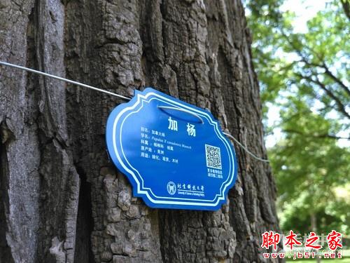 飞利浦杰智I999评测：长续航拍照强机 