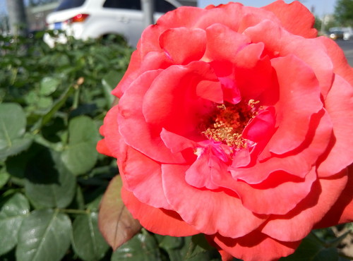 再次定义千元标杆 魅蓝note2评测 