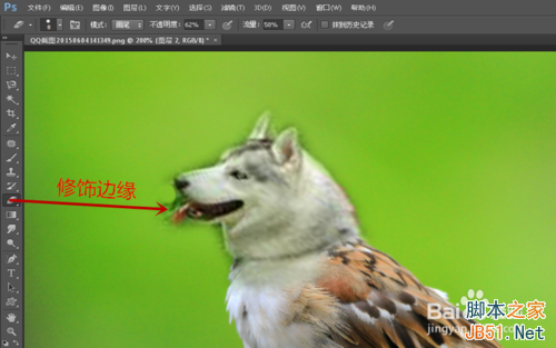 ps创意合成哈士奇头麻雀身的奇异动物