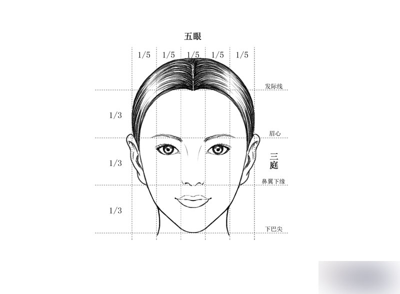 人脸比例 画法图片