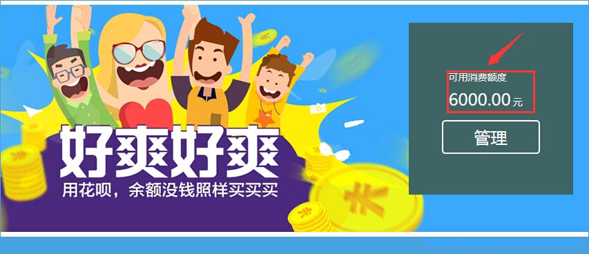 蚂蚁微贷怎么查看额度？蚂蚁微贷查看额度详情[多图]图片3