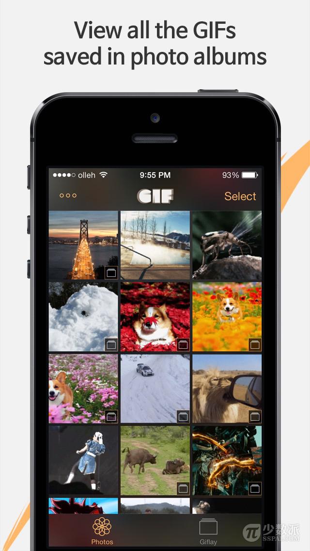 在 iOS 上看 GIF 动图的相册：Giflay