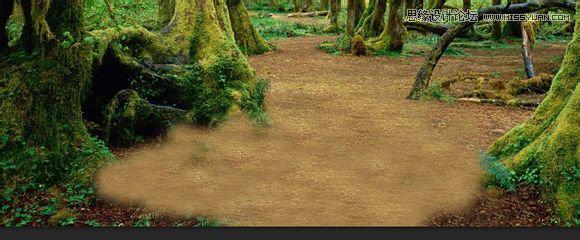 用PS合成做在森林中看书的熊猫人