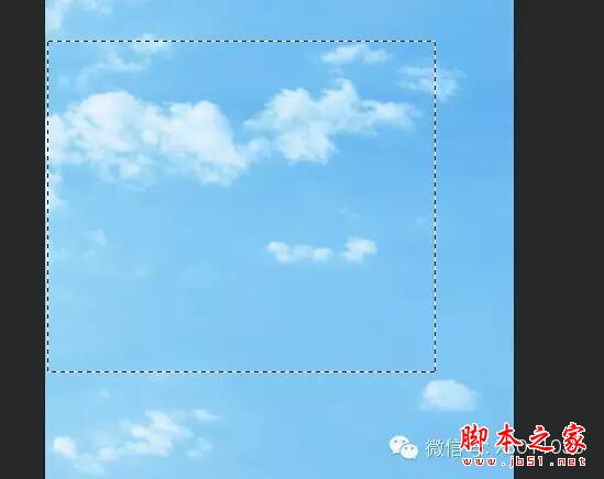 用PS合成另类抽象的鲜花头像图片效果