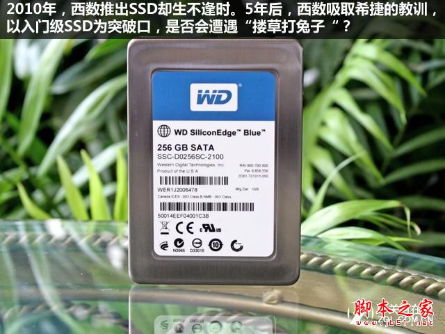 SSD真能淘汰HDD？硬盘厂商转型意欲为何