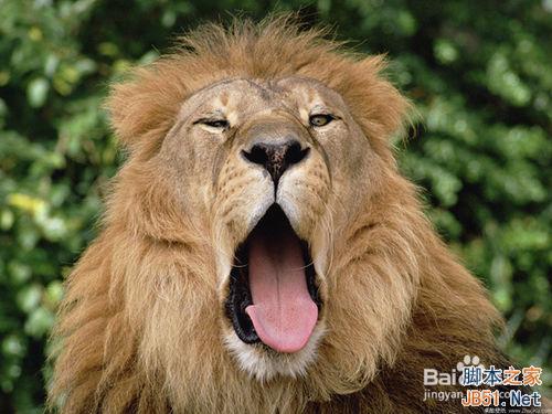 ps怎么做出图片的凸出效果”