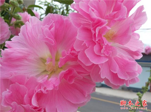 平价标杆：魅蓝Note2开箱体验，将手感与体验进行到底