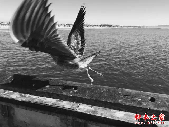 看完这组照片，都扔了单反！