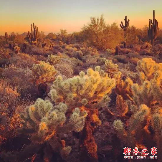 看完这组照片，都扔了单反！
