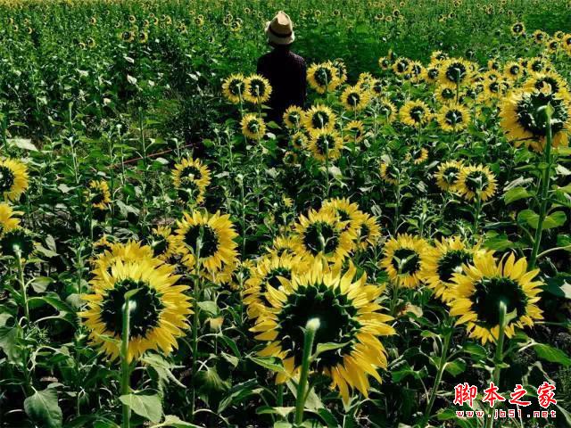 看完这组照片，都扔了单反！