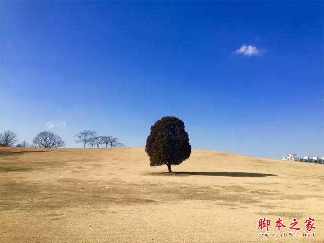 看完这组照片，都扔了单反！