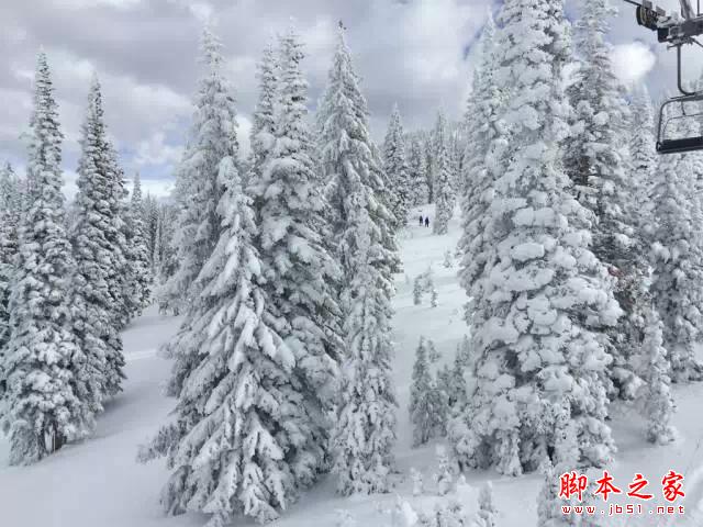 看完这组照片，都扔了单反！