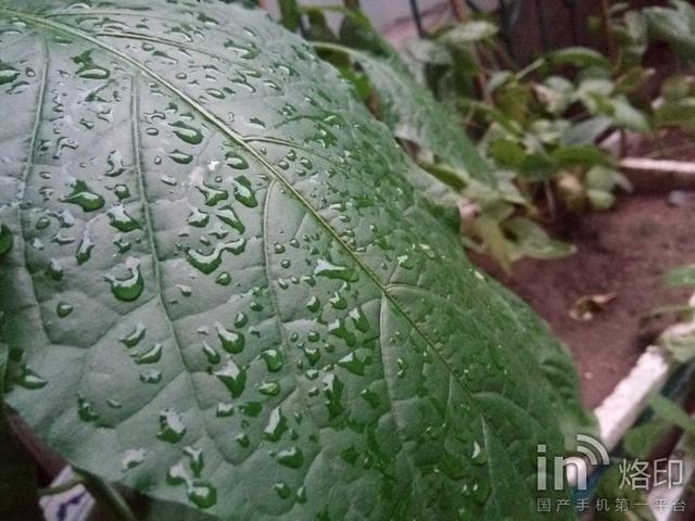 金立M5，续航之外的惊喜