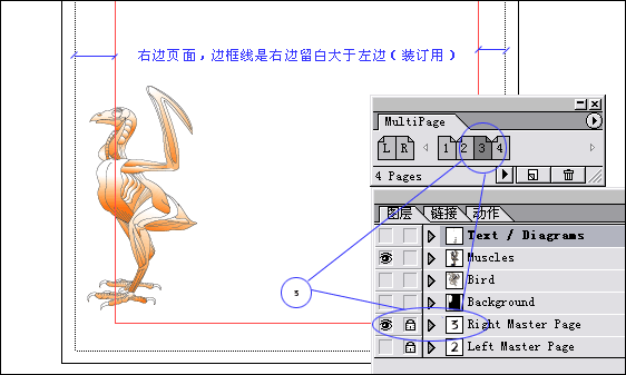 AI分页打印设置方法 脚本之家 AI教程