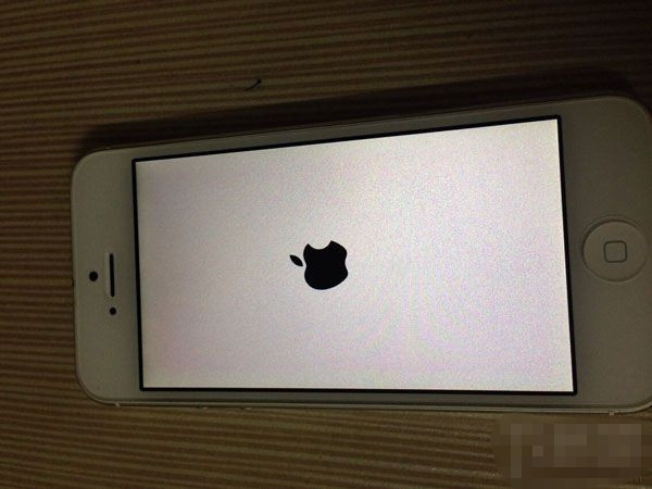 iPhone 5 提取SHSH文件教程 脚本之家