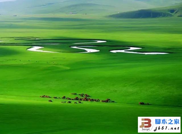 从呼伦贝尔大草原回来 摄影师惊呼原来天堂的颜色是绿色！”