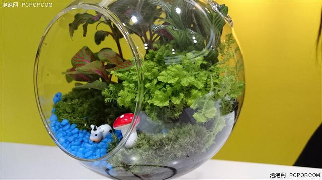 索尼大法好？三防新旗舰Z3+Dual评测