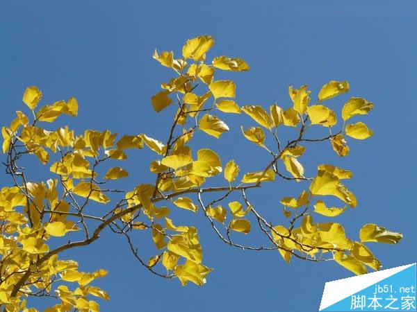 Photoshop合成唯美的山峰晨光效果图